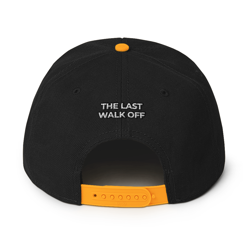 Two Color Snapback Hat 2