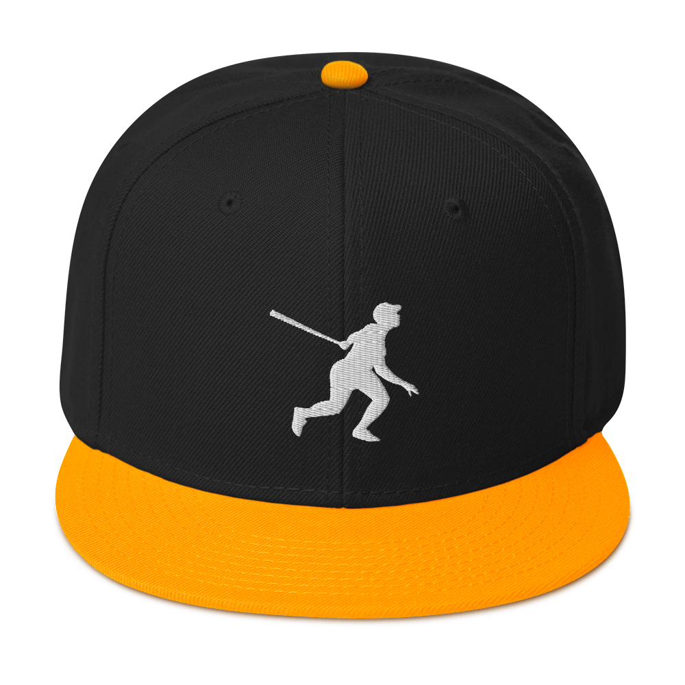 Two Color Snapback Hat 2